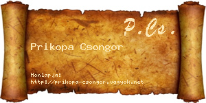 Prikopa Csongor névjegykártya