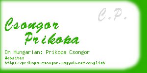 csongor prikopa business card